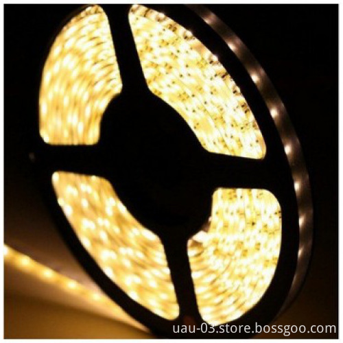Golden color 5630 led strips 12v 24W led flexible strips